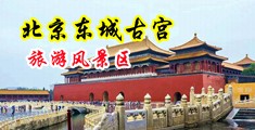 透女人屈中国北京-东城古宫旅游风景区