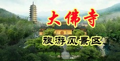 鸡巴骚逼中国浙江-新昌大佛寺旅游风景区